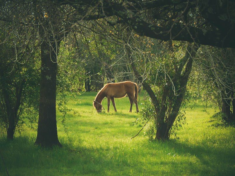 Reservas Naturales